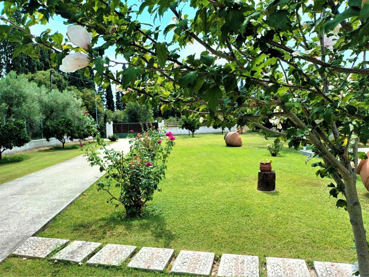 Zenia Pelion Garden House Villa Platanidia Екстериор снимка